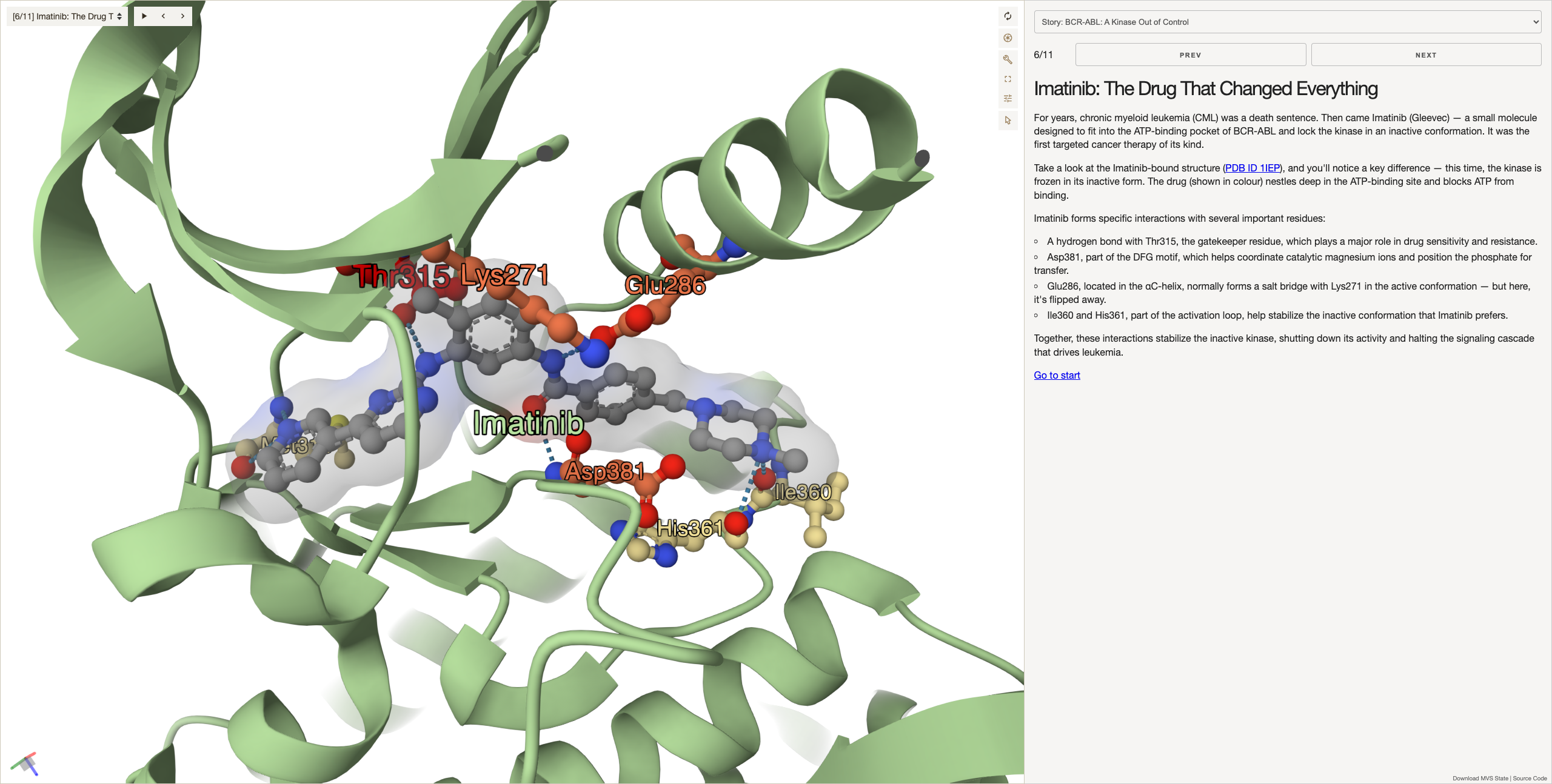 Kinase Story